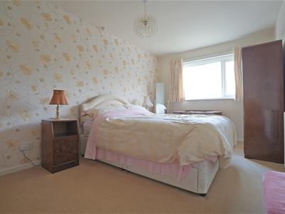 Picture 11
